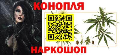 дмт Будённовск